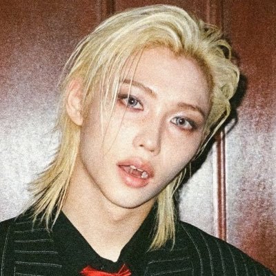 boklater's profile picture. all we need is love, dreams and stray kids