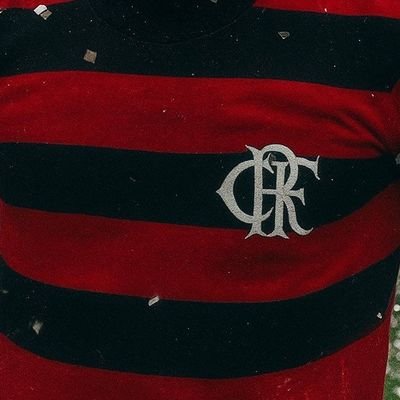 RevilkPro's profile picture. #Flamengo