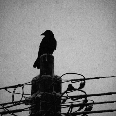 dgrajeshkanna's profile picture. 