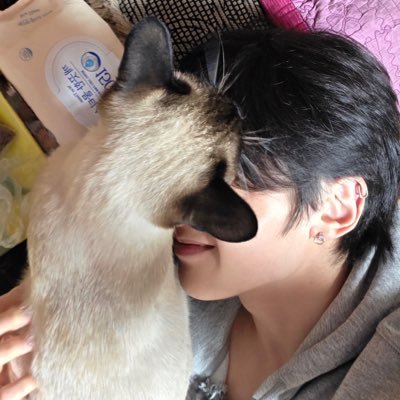 suitesorrow's profile picture. ❛ he/him ⋆ 18 ‧ 𓈒 🐾 — Boy put that GeonMaet down 😂