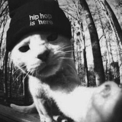 verstappaint's profile picture. 