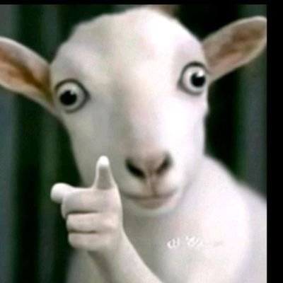 Rae_candid's profile picture. Activating..🕊️