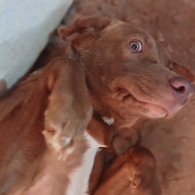 MelcarPakuri's profile picture. 