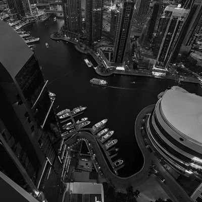 shefinfp's profile picture. #randompost ☕