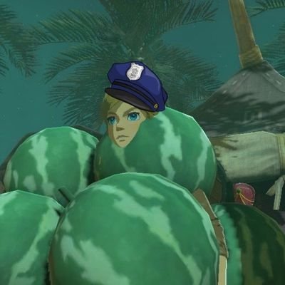 Zeldatwtjail's profile picture. respect my boundaries or dont follow me and deal with being blocked 👍 FREE PALESTINE 🍉 🇵🇸