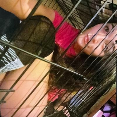 knotting_I_S_me's profile picture. I'm a very pervert nasty and prolly the most erotic zooslut you can ever encounter slide into my DM on telegram for my Hot Doggo clips 🔞👇👇