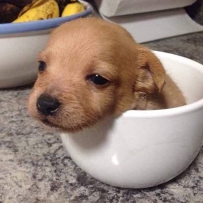 8108kl's profile picture. 일상개