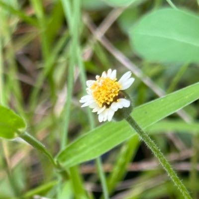 NightBi42481947's profile picture. sex