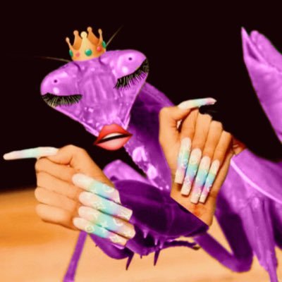 ava_lamp's profile picture. Mantis Mommy Lava Lamp💖VA, ASMR, Singer💖 Twitch/YouTube Partner 💖 Partnered by @gamersupps and @jastusa 💖 Business Email: AvaLamp@kauldron.net