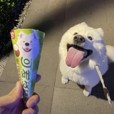 leshylost's profile picture. 