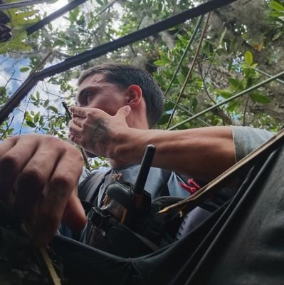 ijkal_pain's profile picture. biologia, santos, gatinhos, filmes e spoilers de jjk