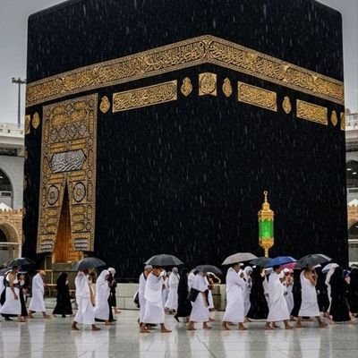 MeerChakar16494's profile picture. 