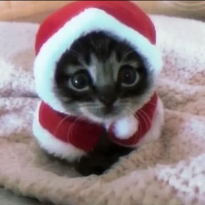 mavndw's profile picture. 