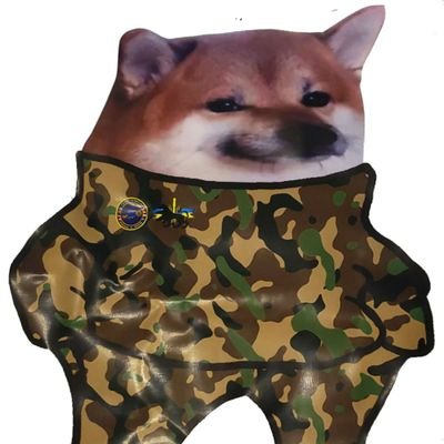 SpoogemanGhost's profile picture. Team OneFist
NAFO
Defenders of Ukraine