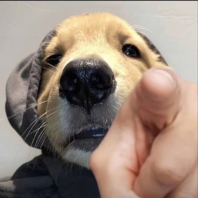 BiCircleZombie's profile picture. 比特币让我死，区块链让我活。  
我是币圈最硬的那具僵尸🧟‍♂️₿  
近3亿人共同选择｜出入金稳如老狗｜Web3启程首选   
僵尸专属邀请：CPA_00I3HX3EIE  

 #Binance 🔥https://t.co/IfTIB3SwPj