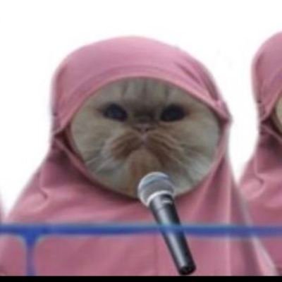 molenkucing's profile picture. 💖anak chuchu mamah💖

https://t.co/Ae0X9lmKYj