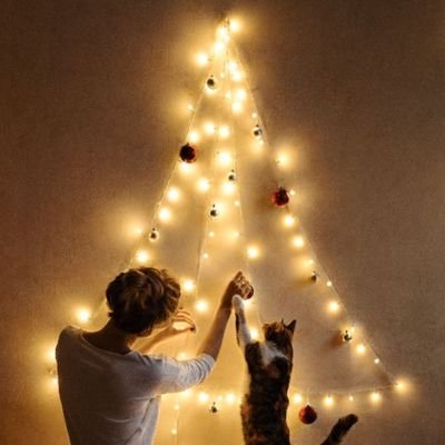 basuasandra's profile picture. 🐾🐾 Cuenta Parodia