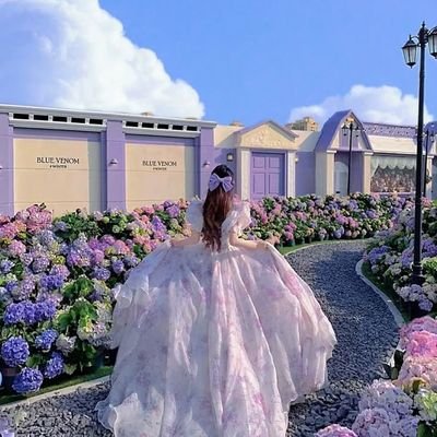 Linzi69466674's profile picture. Bullish on tech, humans, and digital freedom