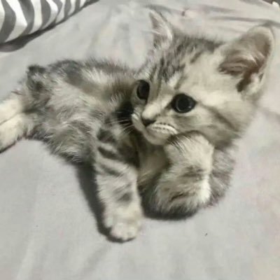 KAEN822_'s profile picture. 