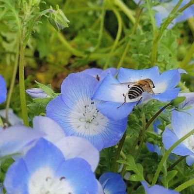 maitasoboo's profile picture. いろんな所の沼にハマってる変なやつです

無言フォロー失礼します🙇成人済み🗝

推しは、推せるときに推せ
推しの笑顔が栄養剤