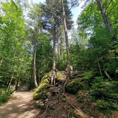 InfinityGotSwag's profile picture. Concert enthusiast.

ABRACE A LOUIS