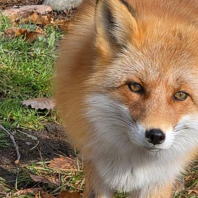 nkgr_arch's profile picture. 勉強垢　uts2志望　再受験予定　宅浪　埼玉　水族館がすき　塾講師　n=0?