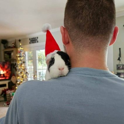 WesleySchmidt's profile picture. Dead Head and Flocker. Music lover. Philly sports. Railfan. Guinea pig dad. PR pro. Wannabe storm chaser.