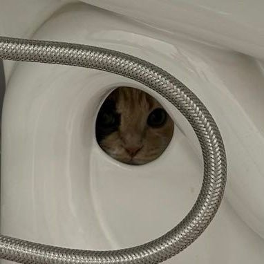 JoeGee_17's profile picture. 