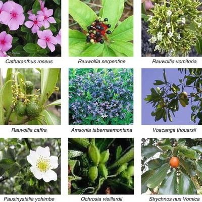 Ravi87443929's profile picture. ప్రజలు నీ గురించి ఆలోచించడం మొదలు పెట్టారు . 
వాళ్ళకి తెలుసు ఏం జరిగిందో .... 
మరో నాలుగేళ్లు ....... ......... నీకోసం