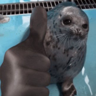 Nimbus0O's profile picture. 