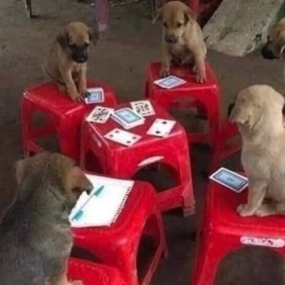 Ruffey_1's profile picture. Follower of Christ, stick to your words what else is left ⛅️🌤️🌥️ #Leadfirst #Thenallow #Atlantic #FireStone #SixSeven #Redeyes #DodgerNation #Magician 🐾📖