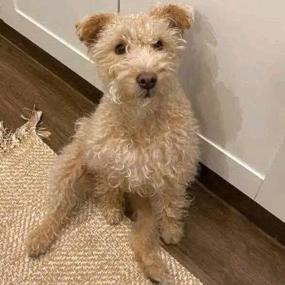 kate_6871's profile picture. 