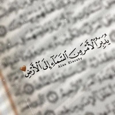 Mscrano85's profile picture. 