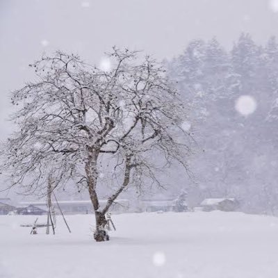 qmheven's profile picture. 趣味垢です。麻雀、心理学、欧州サッカー、など雑多な事を呟きます。あくまでも個人的なものになります。