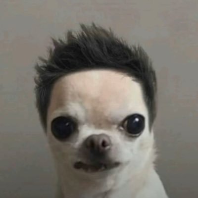 LSDXOXO_'s profile picture. MUTANT EXOTIC - alt @lesickbitch