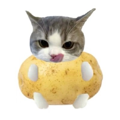 moonooock's profile picture. (?)