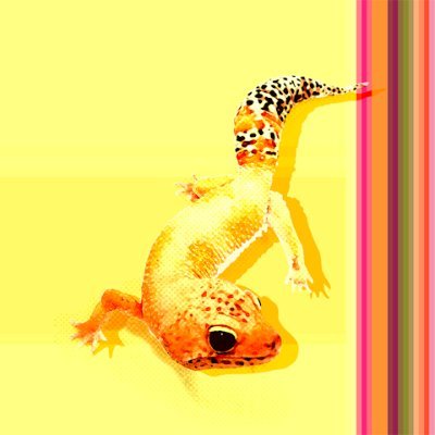 mugi_kanagi's profile picture. 📢Due to disability, I enjoy playing games with one-handed.  🎮️SNK/Falcom/ATLUS/RGGS/FFXIV  🎆IBO 🔖≫🌙🐥🐰🐻🐰🦭🐧🐻‍❄️🐱🍞🐭🍤🔥🗼♋️♓️👽️🚘️🎤🎸🎛️🦉🐻🐒♦️🎧