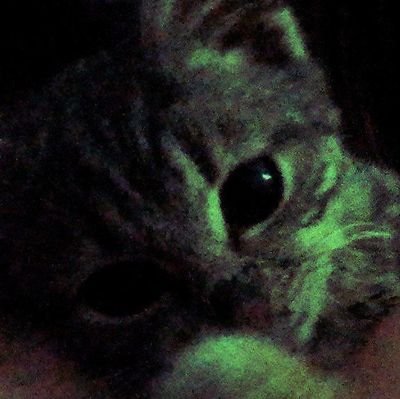 Cerberus_Lcrow's profile picture. 𝒩𝒶𝒹𝒶 𝓆𝓊𝑒 𝑒́ 𝓁𝑒𝓋𝒶𝒹𝑜 𝓅𝑒𝓁𝒶 𝑀𝑜𝓇𝓉𝑒 𝓅𝑜𝒹𝑒 𝓇𝑒𝓉𝑜𝓇𝓃𝒶𝓇 𝒶𝑜 𝓆𝓊𝑒 𝑒𝓇𝒶 𝒶𝓃𝓉𝑒𝓈.