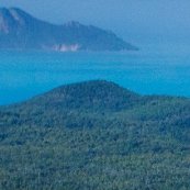 Kalaivenee's profile picture. மந்திர மாவது நீறு வானவர் மேலது நீறு..