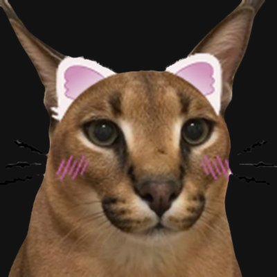 NotNordgaren's profile picture. The internets cat

Is this how I send a tweet?

My opinions are yours.

Orange cat crashouts from time to time...

@hackercatprod