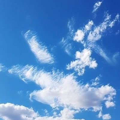 blameless008's profile picture. .