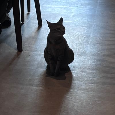 nadyaajn's profile picture. Learning social protection topics one policy at a time