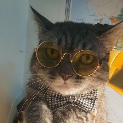 Vn2013ne's profile picture. Chúc bạn có 1 ngày vui vẻ