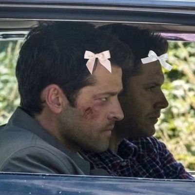 pig_in_a's profile picture. she/her | 20+ | 캐스딘 💙💚 C/D destiel fan account