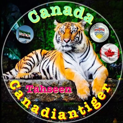 tigeradios's profile picture. Age : 73 years old , 𝓔𝔁-𝓐𝓲𝓻 𝓣𝓻𝓪𝓯𝓯𝓲𝓬 𝓒𝓸𝓷𝓽𝓻𝓸𝓵𝓵𝓮𝓻-Graduate from the Swedish Air Traffic Control Academy - Malmo-Sweden -𝓣𝓻𝓪𝓷𝓼𝓵𝓪𝓽𝓸𝓻