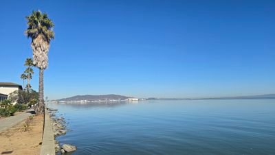 duchy235247's profile picture. 