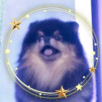 niartkjk1230's profile picture. 大人数が苦手なテテ強めのグクテテペン🐰🐻だけどクセ強の7人全員好き。7人一緒が好き / 成人式2回済/眉間のシワと🐻の首と肩の間の斜めが好き/ 強めのチョコミン党/リプ変のタイミングヘタクソ、週末と夜は音信不通になりがちです、申し訳ない🙇‍♀️