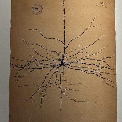 eralls37's profile picture. 