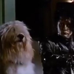 euclicide's profile picture. 