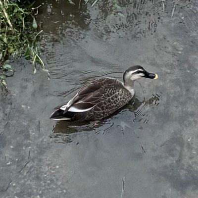 HeZhi38248's profile picture. Security